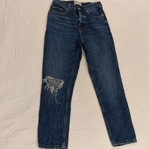 Everlane size 26 Crop Cheeky 90s Jean Dark Wash